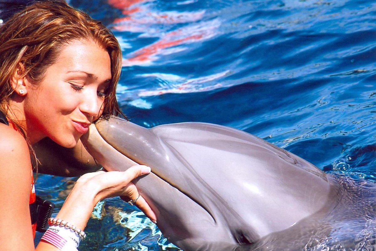 Приснился сон...