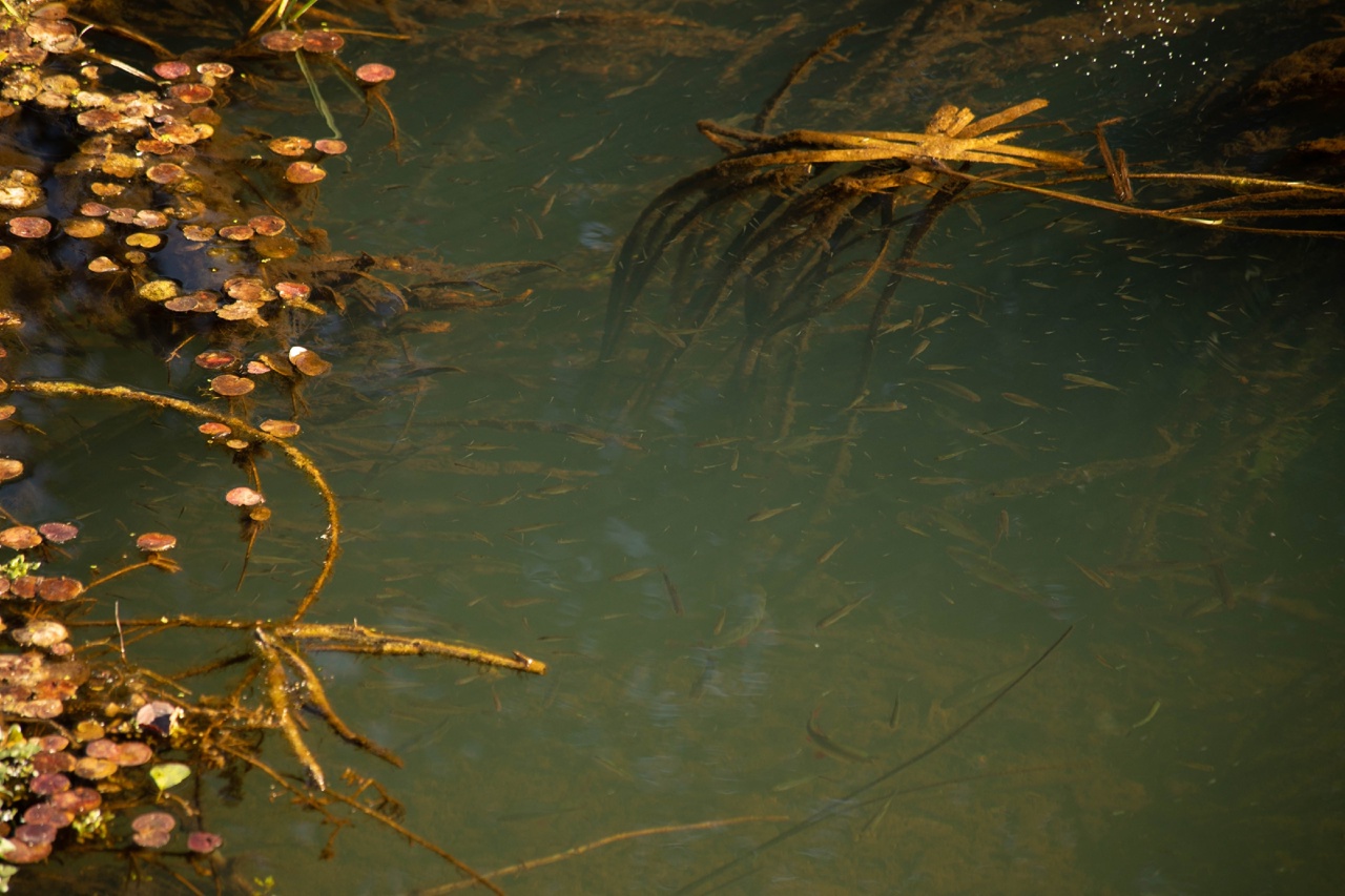 Учась у жизни