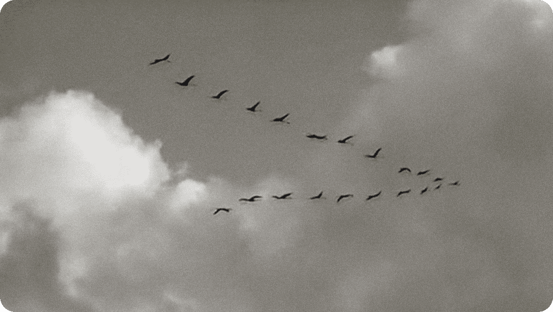 Ты оставил след