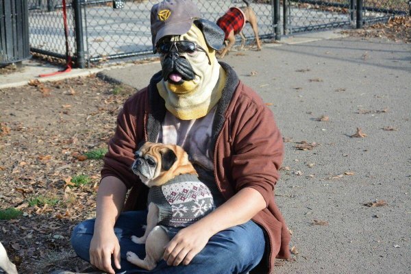 Голосование. Конкурс Пародий Бонуфикс 16-25