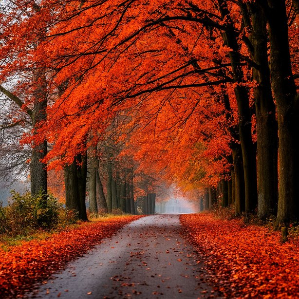 Аккорды бабьего лета