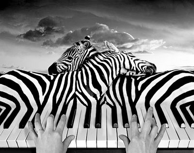 Guenter Grass - Tierschutz