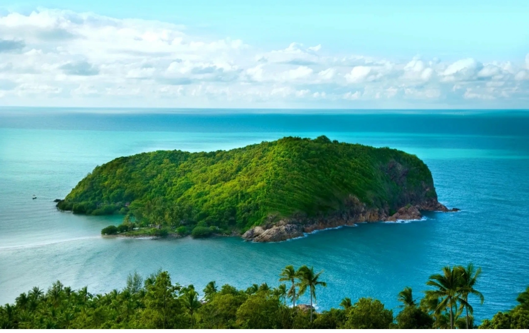 Читай стихи животным