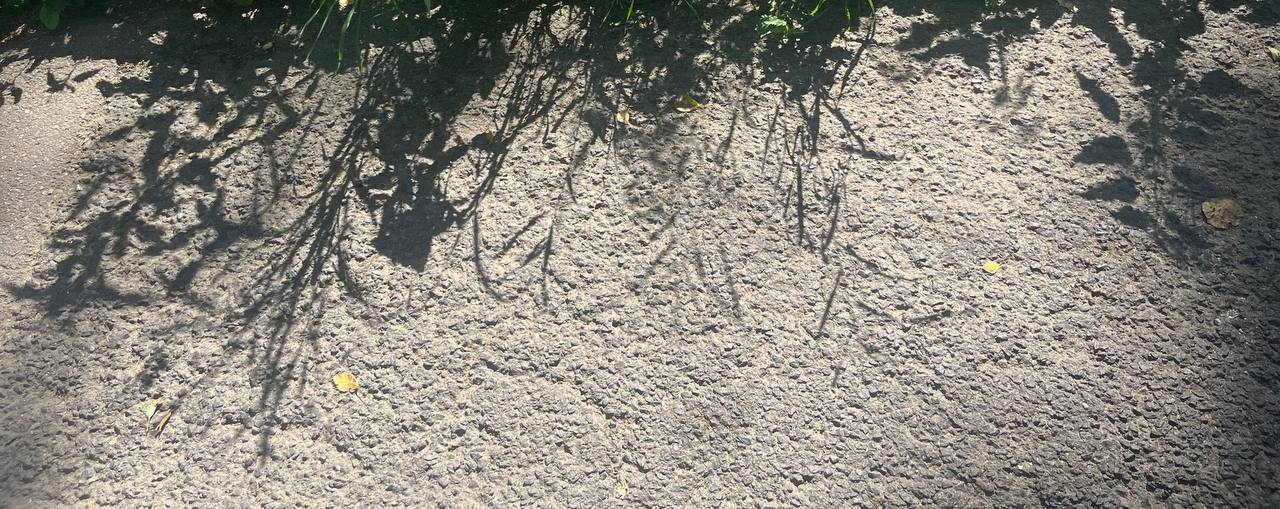 Кружевные тени