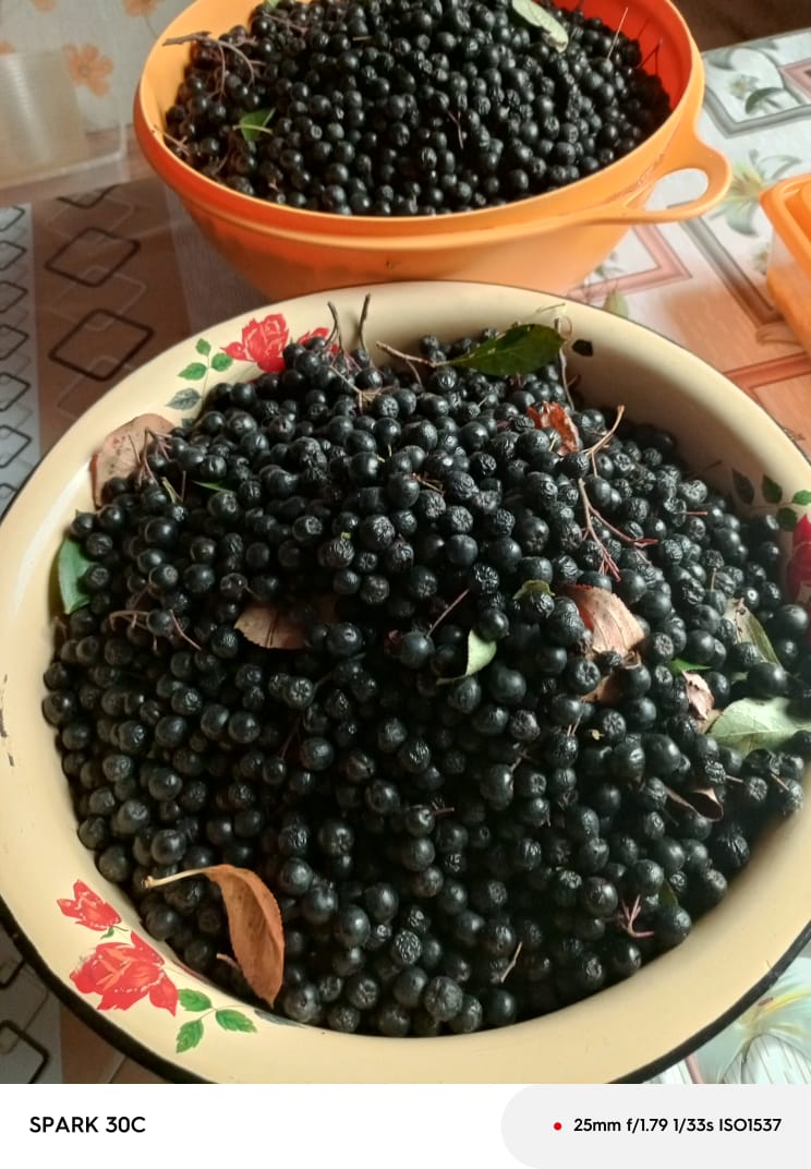 Зреет точно для Марины