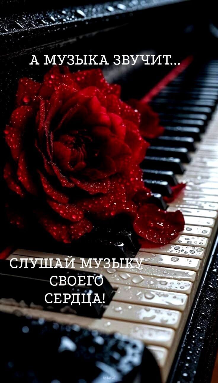 Не торопите время