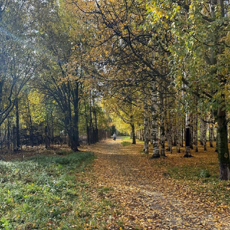 Уходило лето