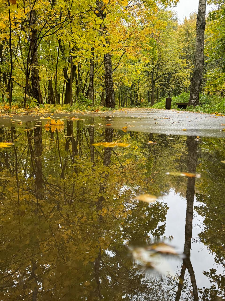 Возможность дай себе