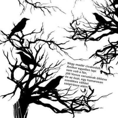 Guenter Grass - Streit