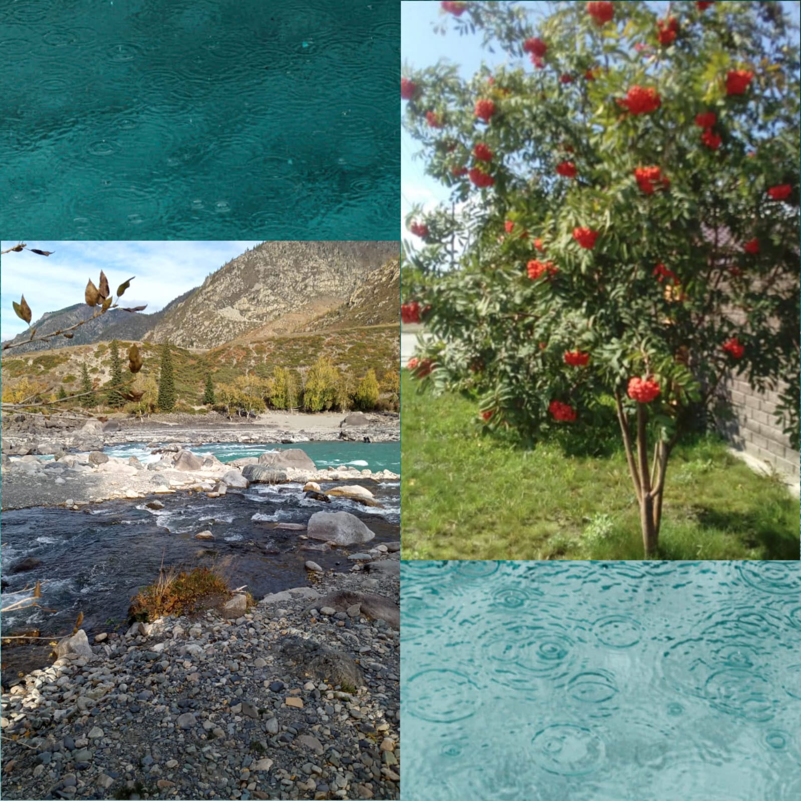 Не будем сегодня об этом