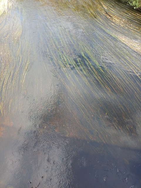 Знаю тебя...