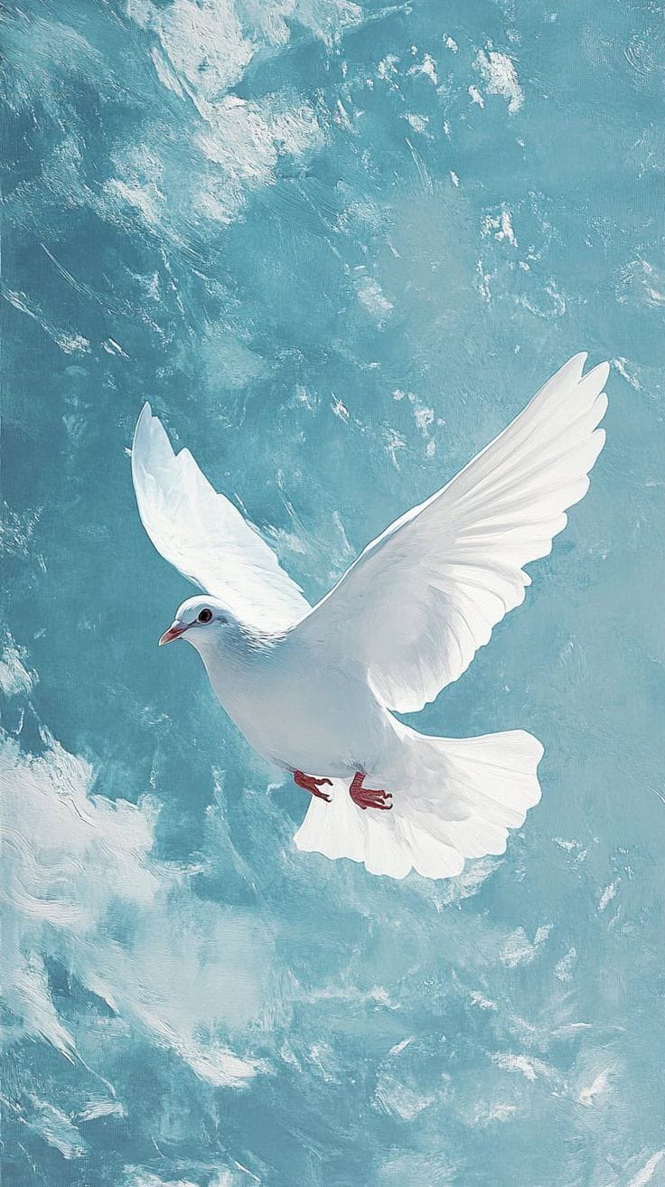 Чтоб не было вообще войны