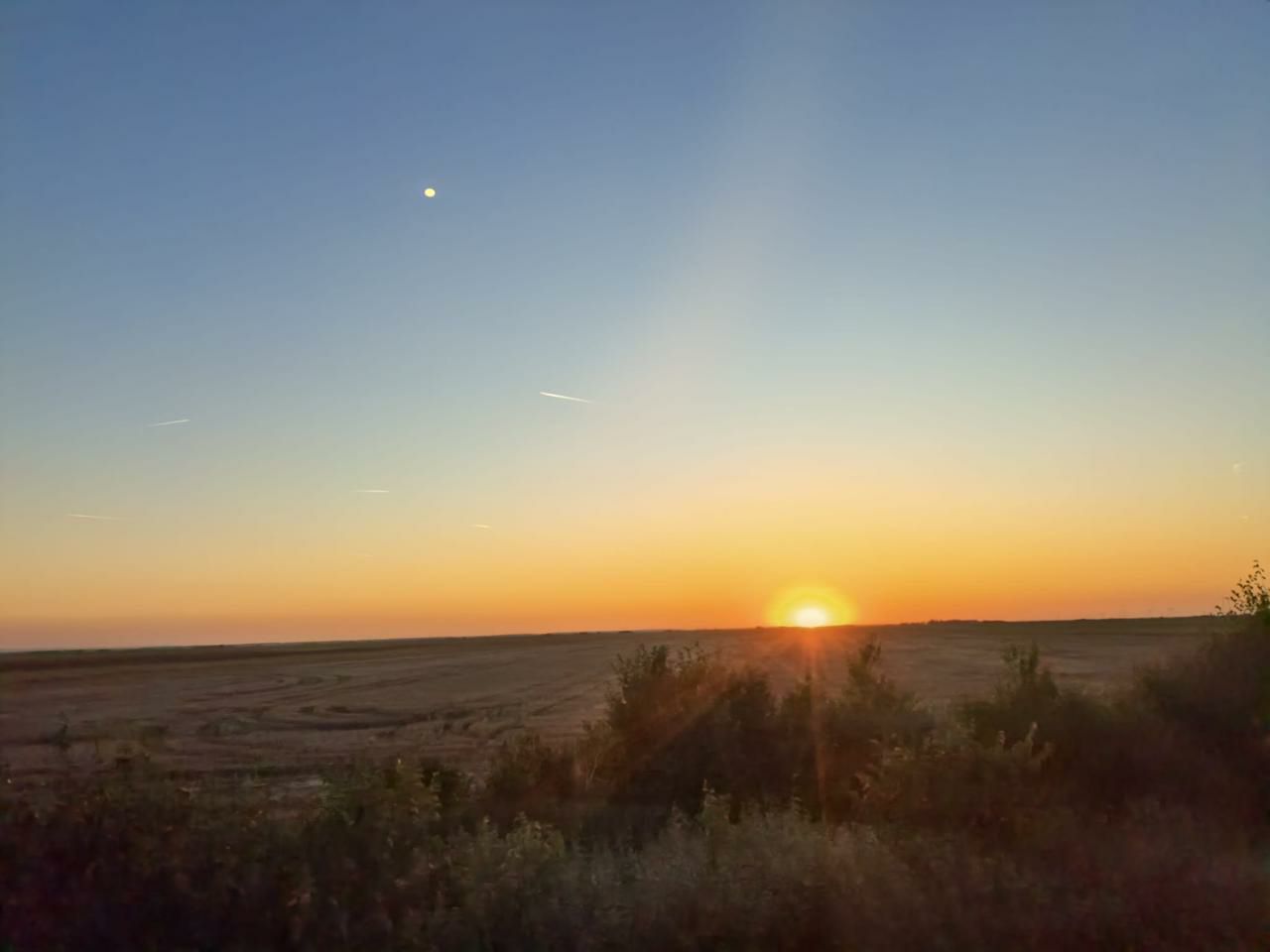 В весеннем круговороте...