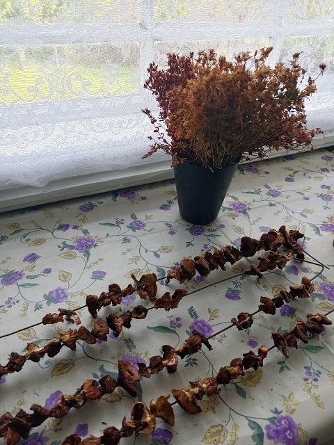 Наша Зима рада...