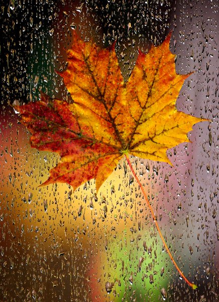 Гаснет лето