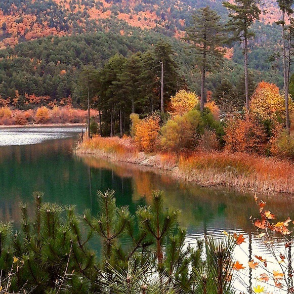 Я сочиняю поздравленье