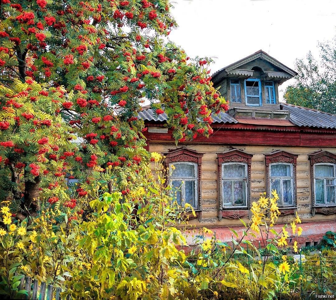 МОЙ ДОМ
