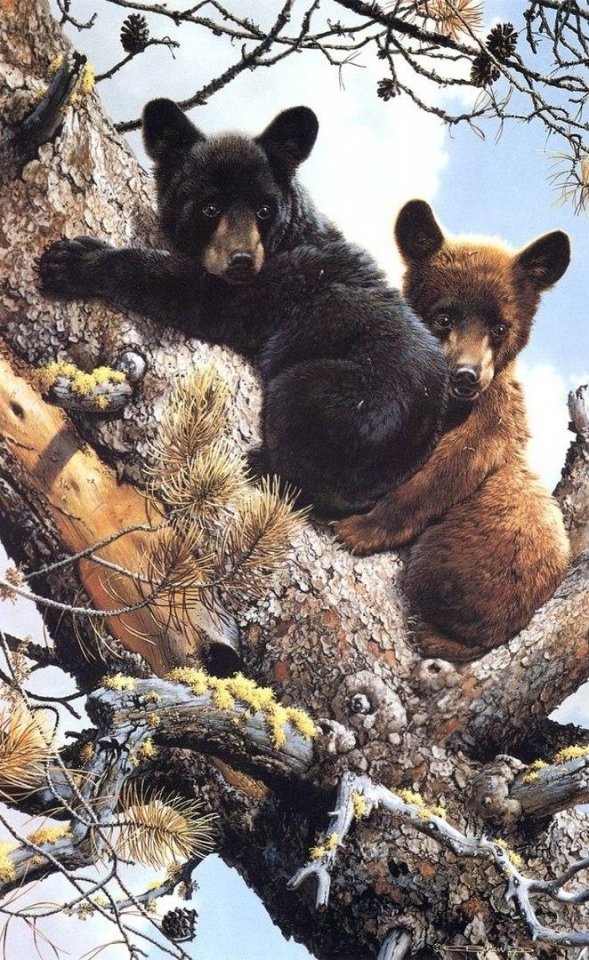 Пятничный очепяточный блиц No 935