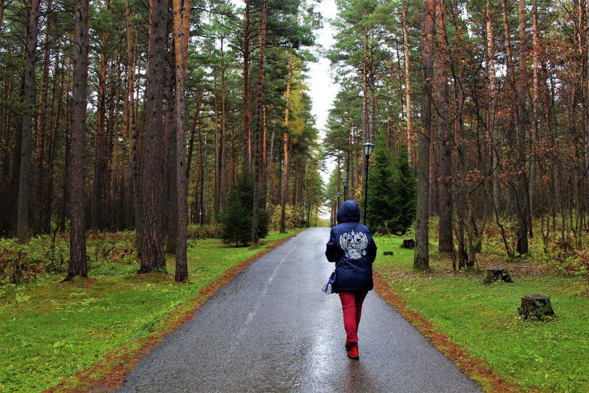 Наше настроение осенью