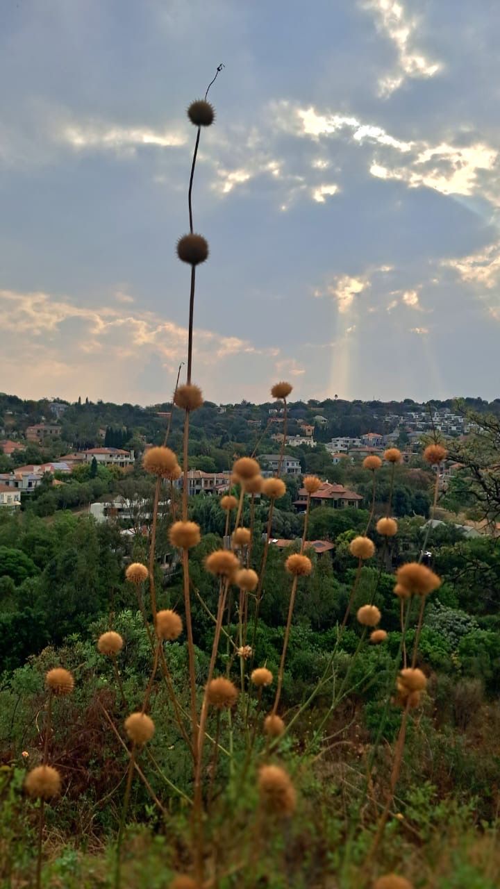 зачем риторическое