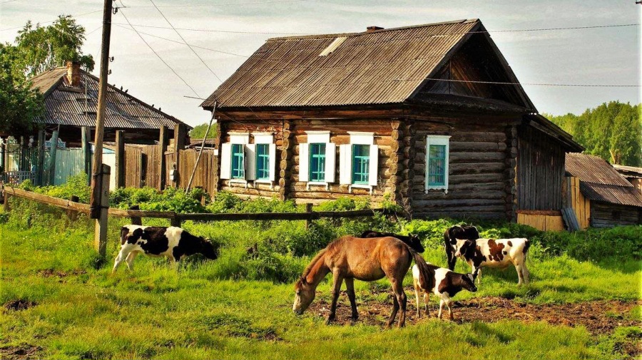 Деревушка моя деревушка