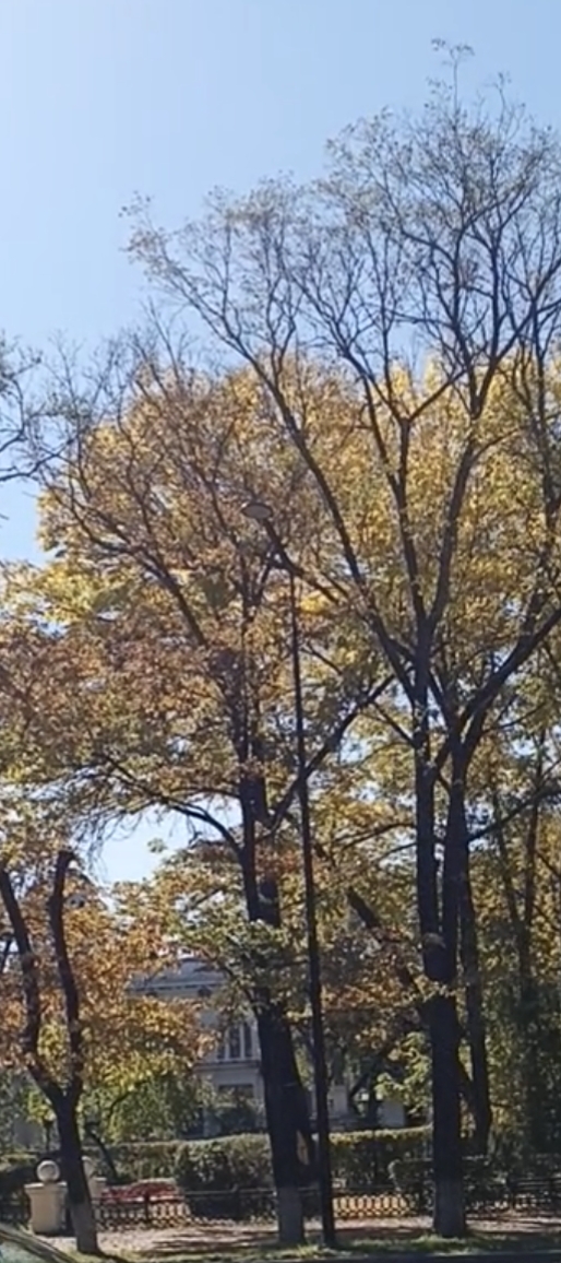 Мимолётность