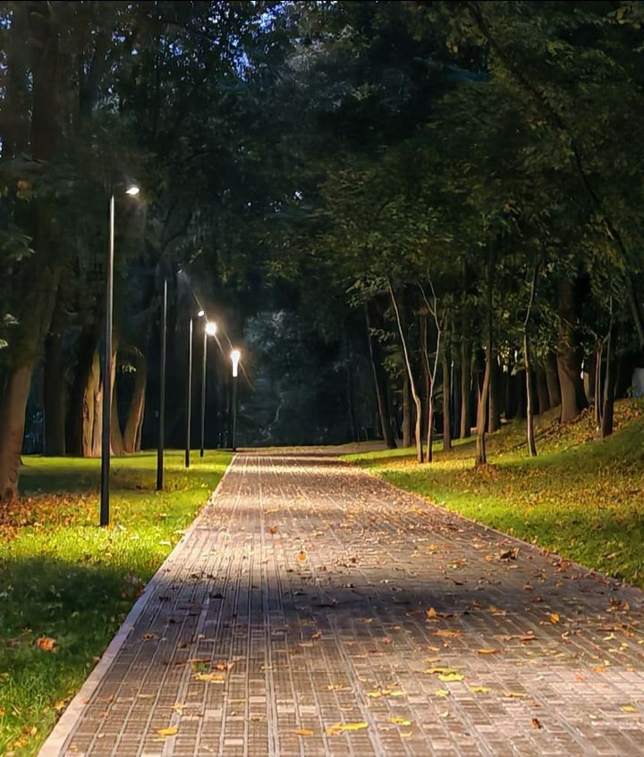 Опадают листья...