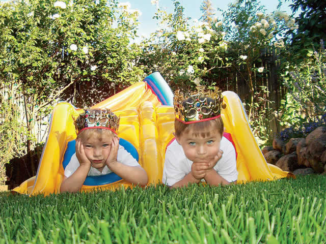 Жар Птиц хватает мне