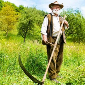 Дед осоку в пойме косит