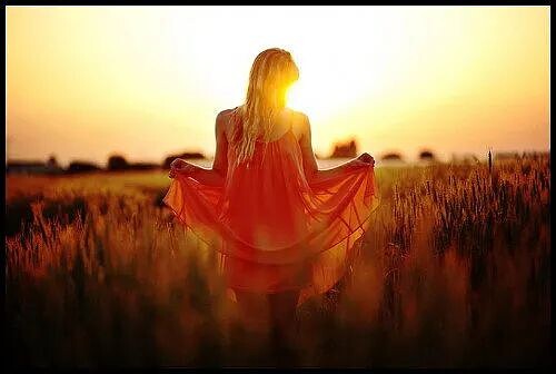 Я поцелуем утолю твои печали