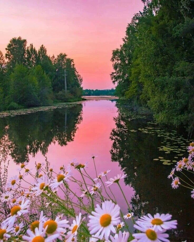 За заводью тихой, за березовой рощей