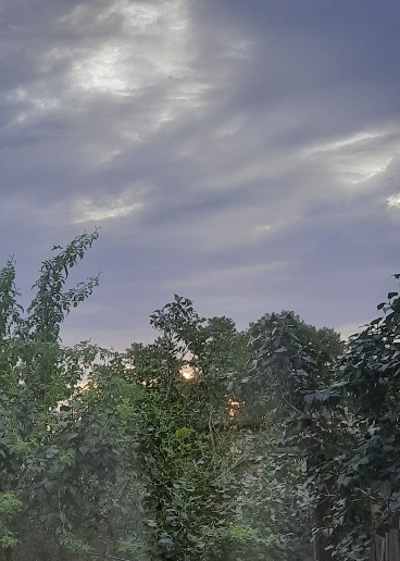 Ранним утром