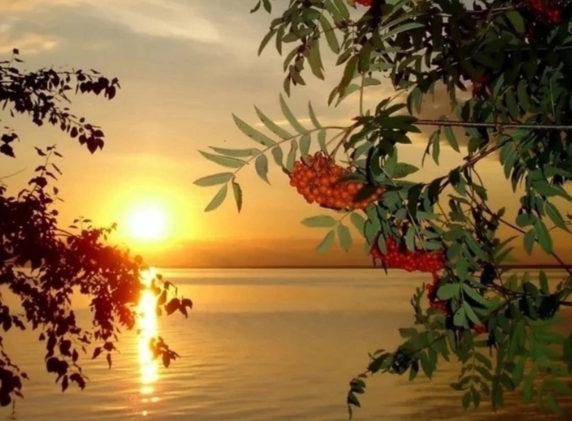 На вечерней заре