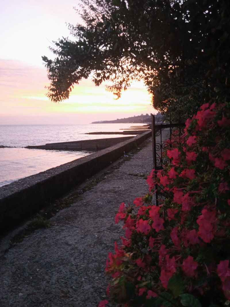 Море залито блеском заката