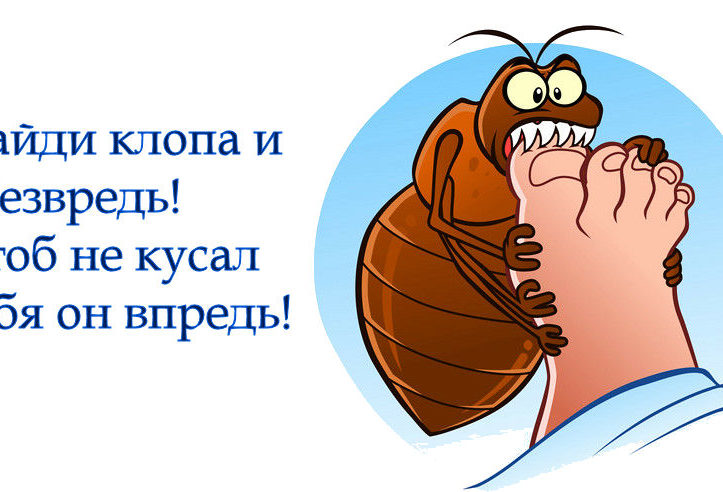 Это просто баба-клоп!