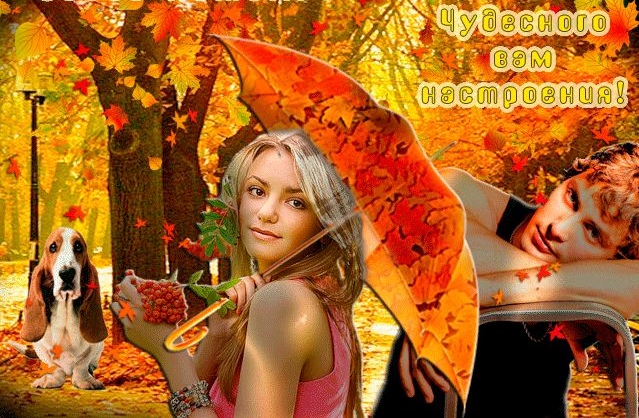 Желтый лист, желтый зонт, красный шарф