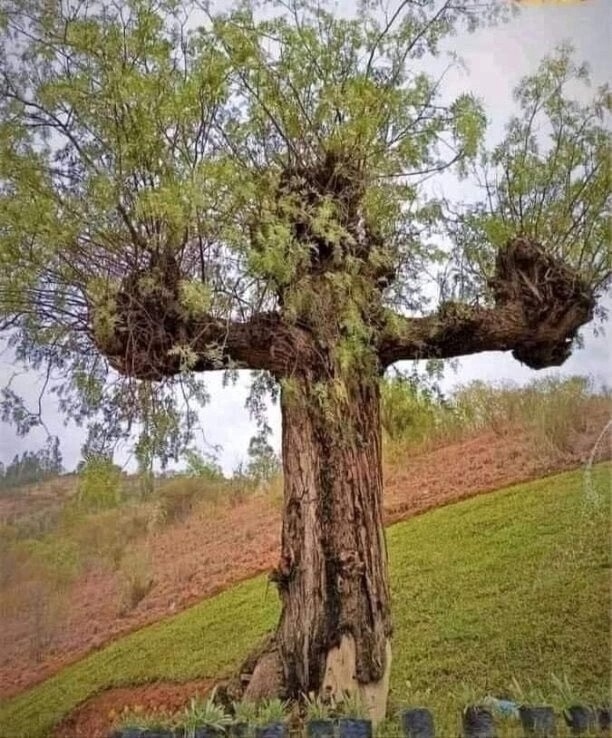 28 сентября. О чудесах...