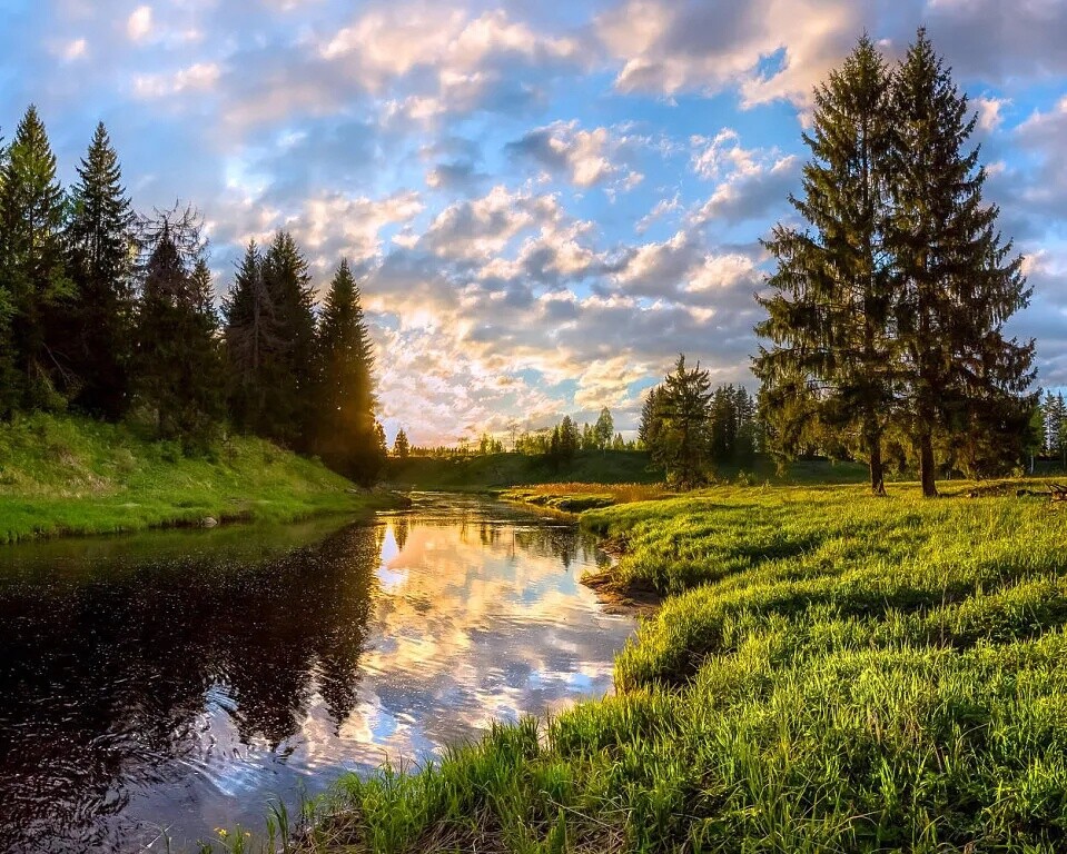 Не торопите жизнь