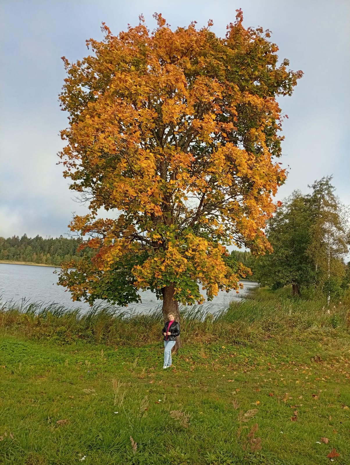 Подарила и забыла