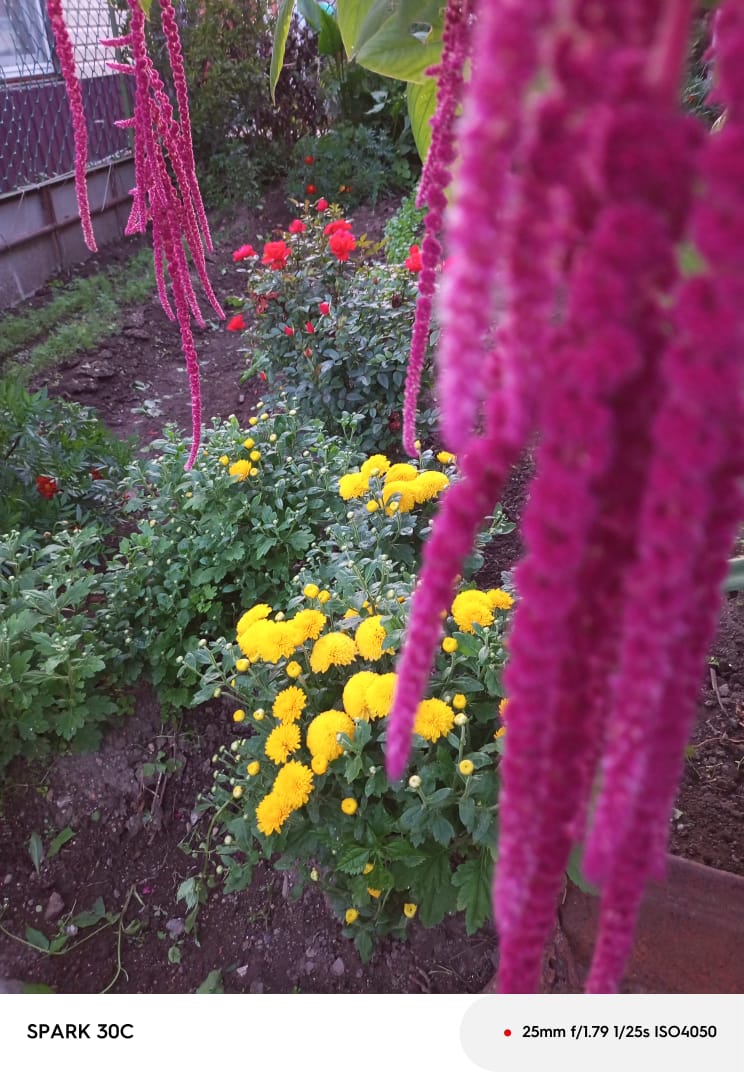 У осени много имён