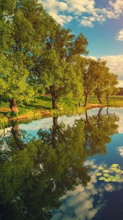 Какое счастье просто жить