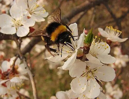 Дышала свежестью природа