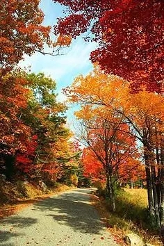 Я разлюбила дни рождения