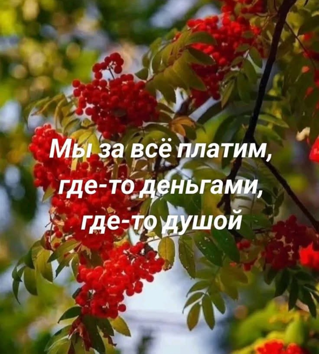 Нашей жизни тонкая ирония