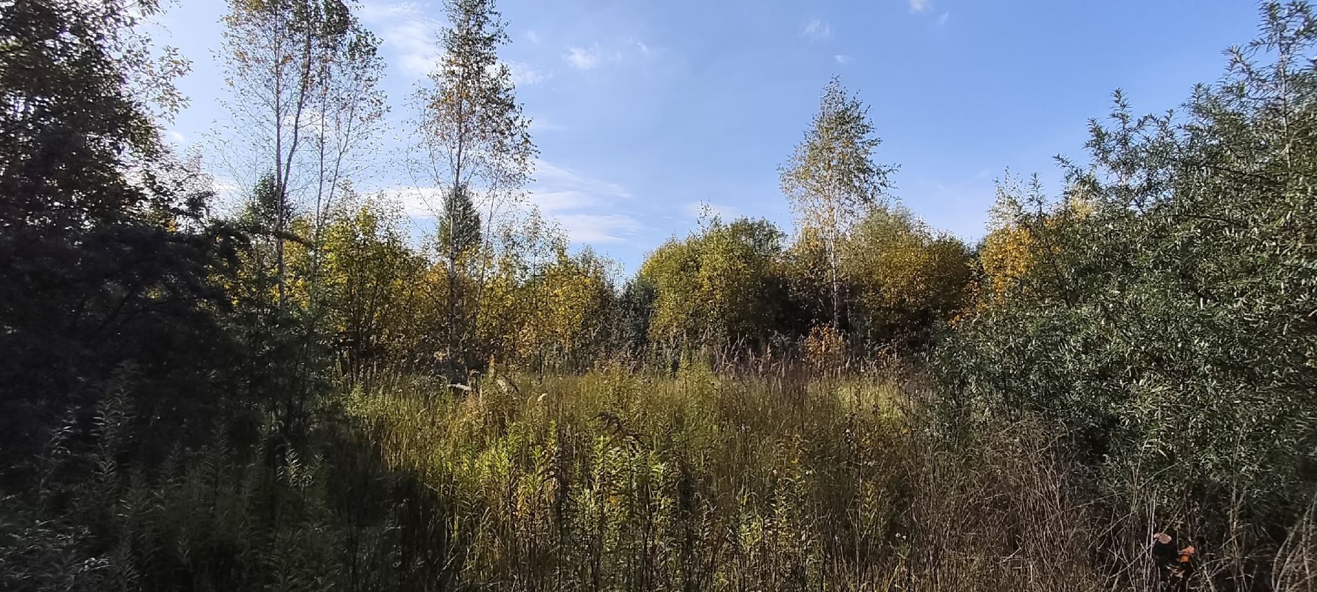 Добро пожаловать, Осень!