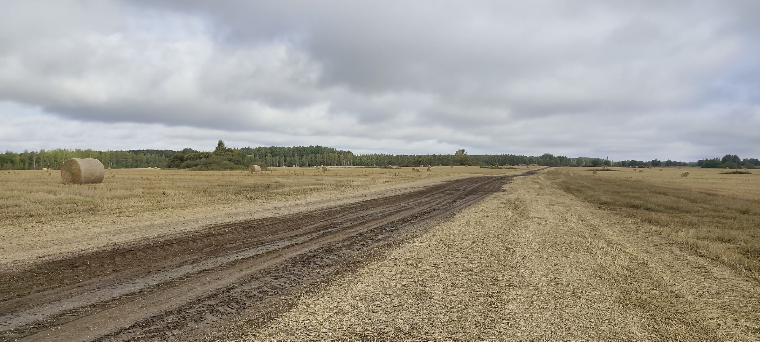 Тропами и дорогами