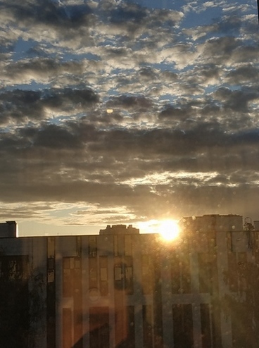 В лучах заходящего солнца