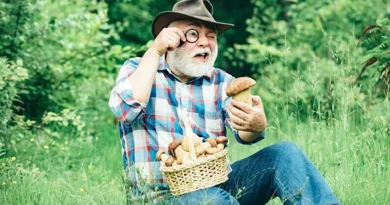 Проба пера сына Валерия, 6кл Дед и грибы