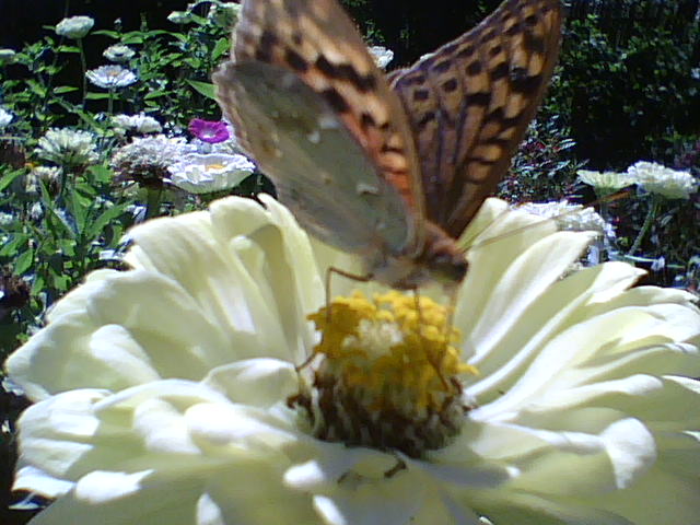 Система часть 26