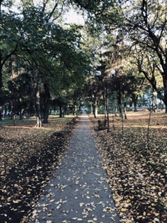 Прощание с сентябрем